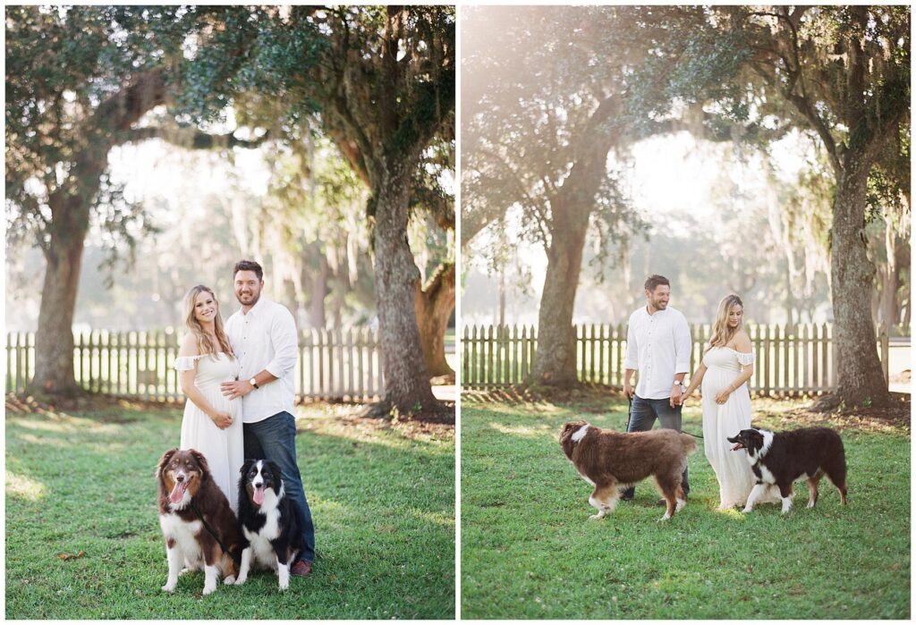 Maternity session in Jungle Gardens Avery island. First time parents brought their two german shepard dogs 